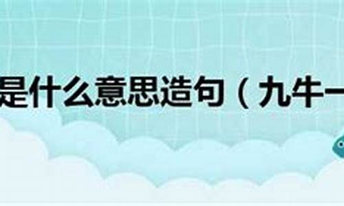 九牛一毛造句一年级_九牛一毛造句一年级简单的